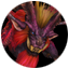 Teostra